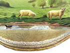 Dew Ponds to the Rescue