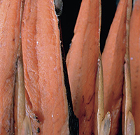 Perfect kipper recipe