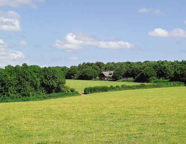 Devon: officially England’s best county