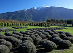 Stunning lavender farm for sale