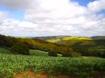 Who owns Britain: Top UK landowners