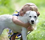 Microchips reunite dogs and owners