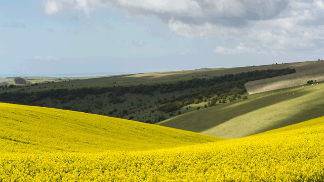 What to do in the South Downs this summer