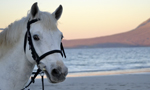 Escape to Connemara